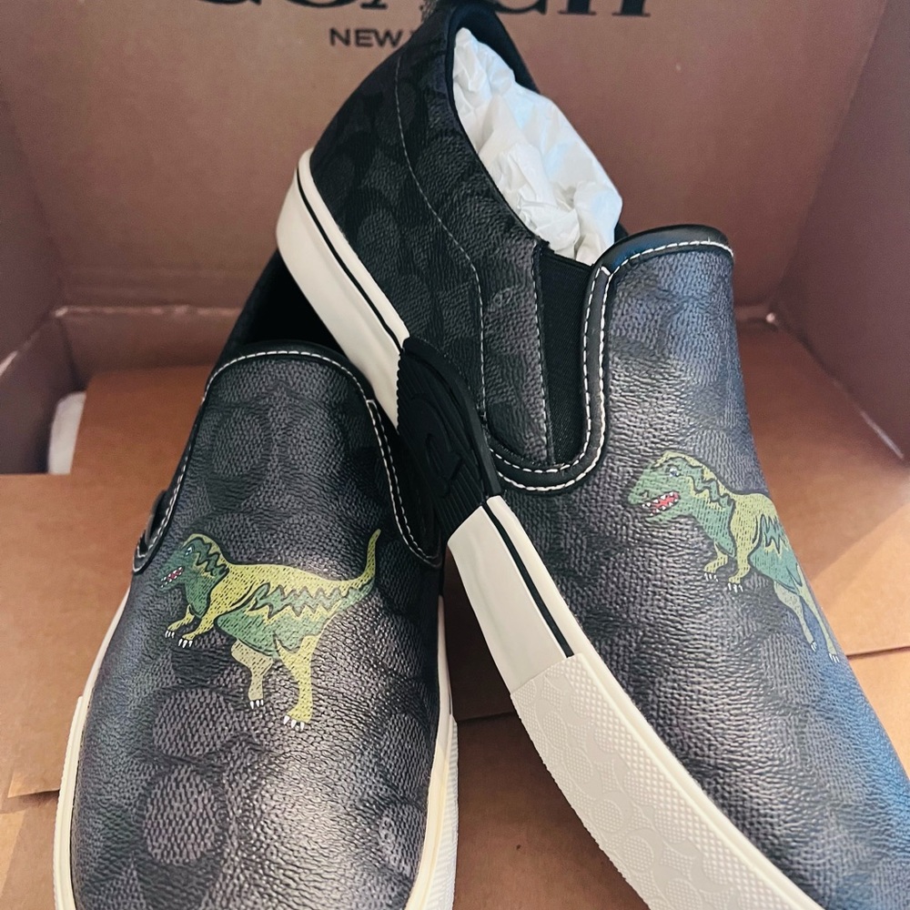 Men’s Coach Rexy Slip ons